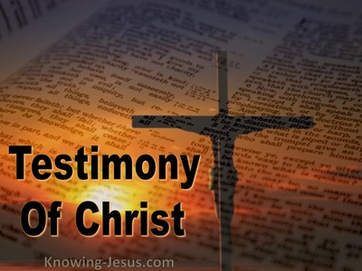 Testimony Of Christ (devotional)08-30 (orange)